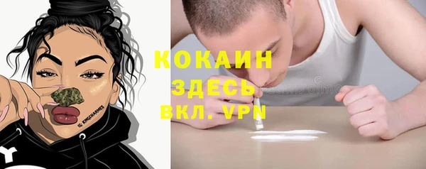 ешки Арсеньев