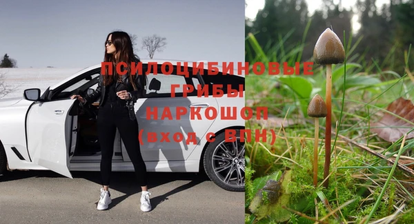 мяу мяу мука Аркадак