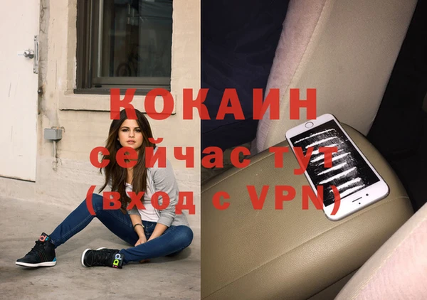 мяу мяу мука Аркадак