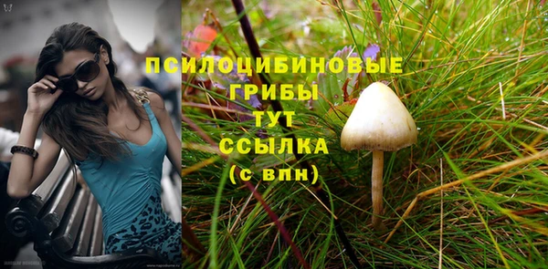 мяу мяу мука Аркадак