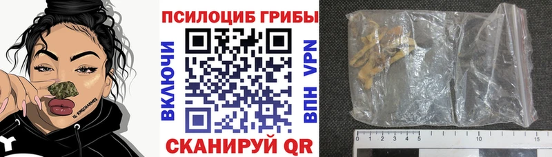 как найти закладки  Саров  Псилоцибиновые грибы мухоморы 
